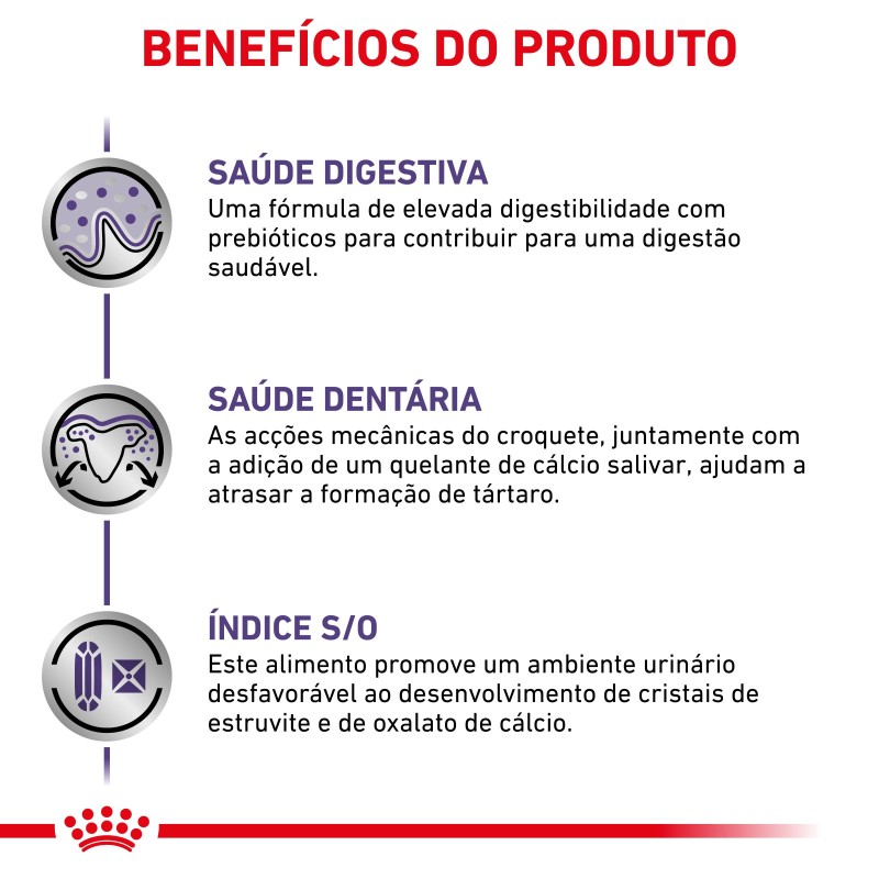 Ração para cão de porte pequeno - Royal Canin Adult Small Dogs