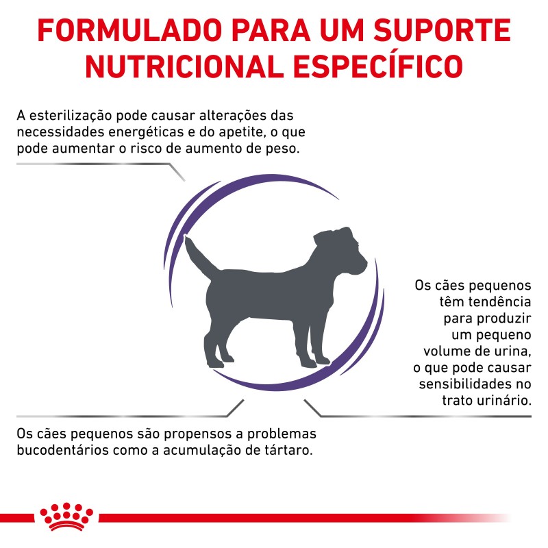 Ração para cão esterilizado - Royal Canin Neutered Adult Small Dogs