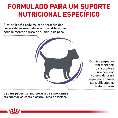 Ração para cão esterilizado - Royal Canin Neutered Adult Small Dogs