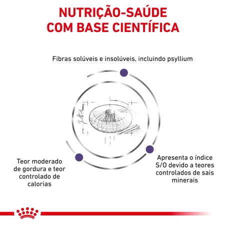 Ração para cão esterilizado - Royal Canin Neutered Adult Small Dogs