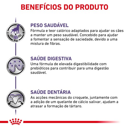 Ração para cão esterilizado - Royal Canin Neutered Adult Small Dogs