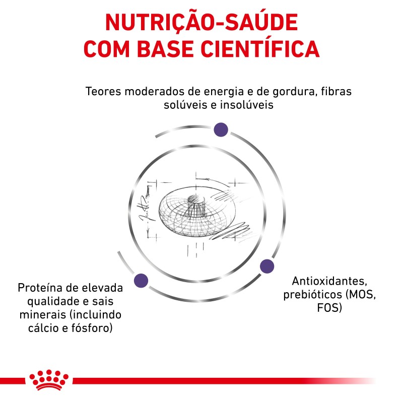 Ração para cachorro esterilizado - Royal Canin Neutered Junior