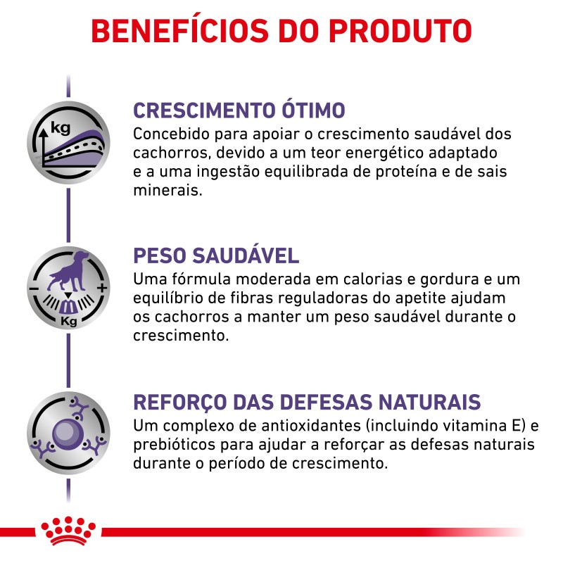 Ração para cachorro esterilizado - Royal Canin Neutered Junior