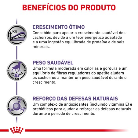 Ração para cachorro esterilizado - Royal Canin Neutered Junior