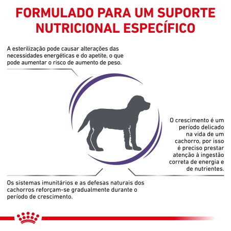 Ração para cachorro esterilizado - Royal Canin Neutered Junior