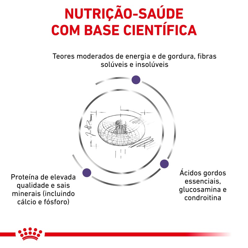 Ração para cachorro esterilizado - Royal Canin Neutered Junior Large Dogs