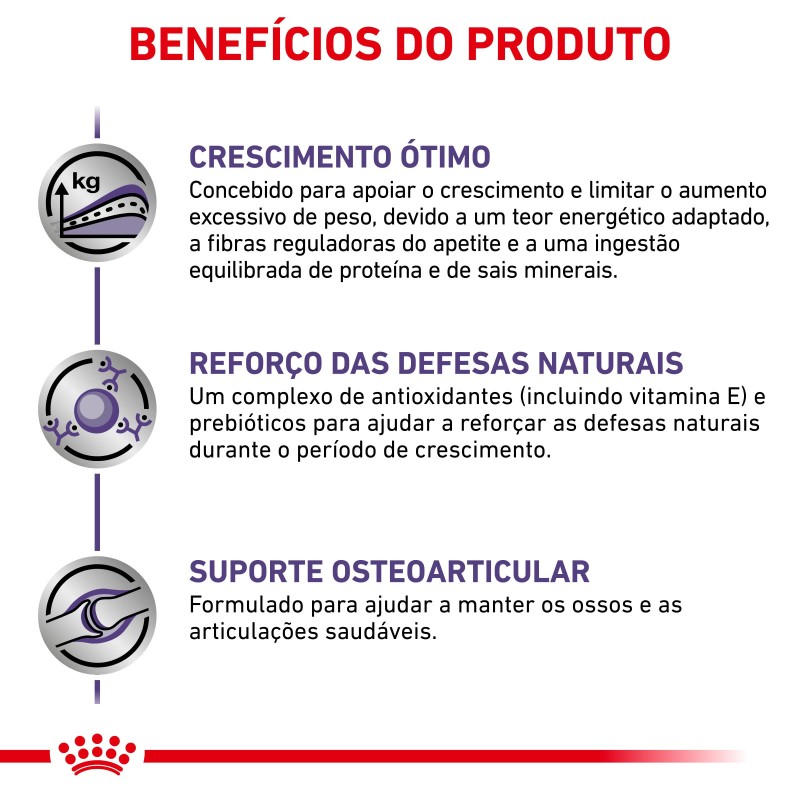 Ração para cachorro esterilizado - Royal Canin Neutered Junior Large Dogs