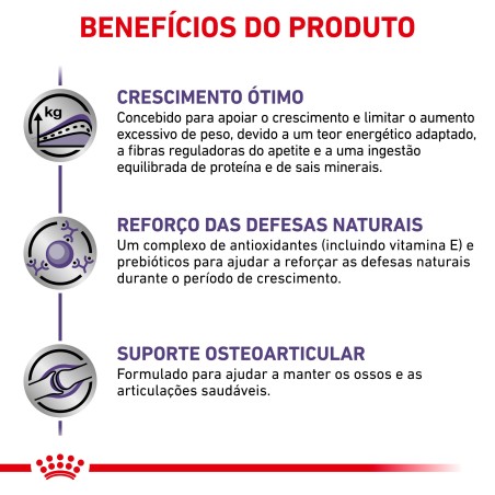 Ração para cachorro esterilizado - Royal Canin Neutered Junior Large Dogs