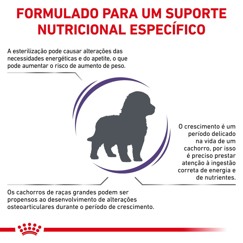 Ração para cachorro esterilizado - Royal Canin Neutered Junior Large Dogs