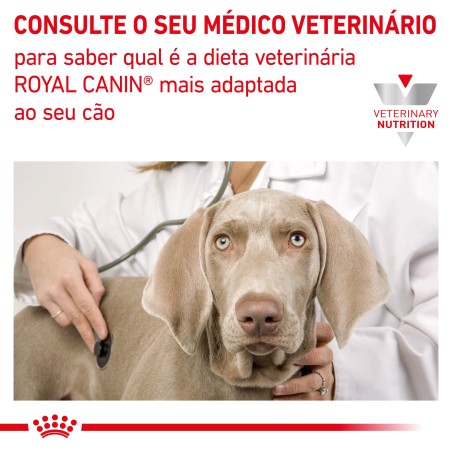 Ração para cachorro esterilizado - Royal Canin Neutered Junior Large Dogs