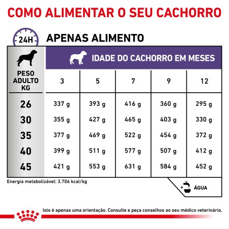 Ração para cachorro esterilizado - Royal Canin Neutered Junior Large Dogs