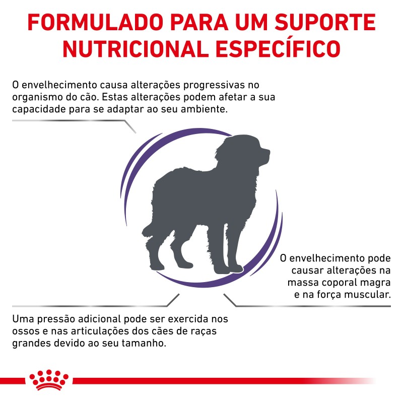Ração para cão sénior - Royal Canin Mature Consult Large Dogs