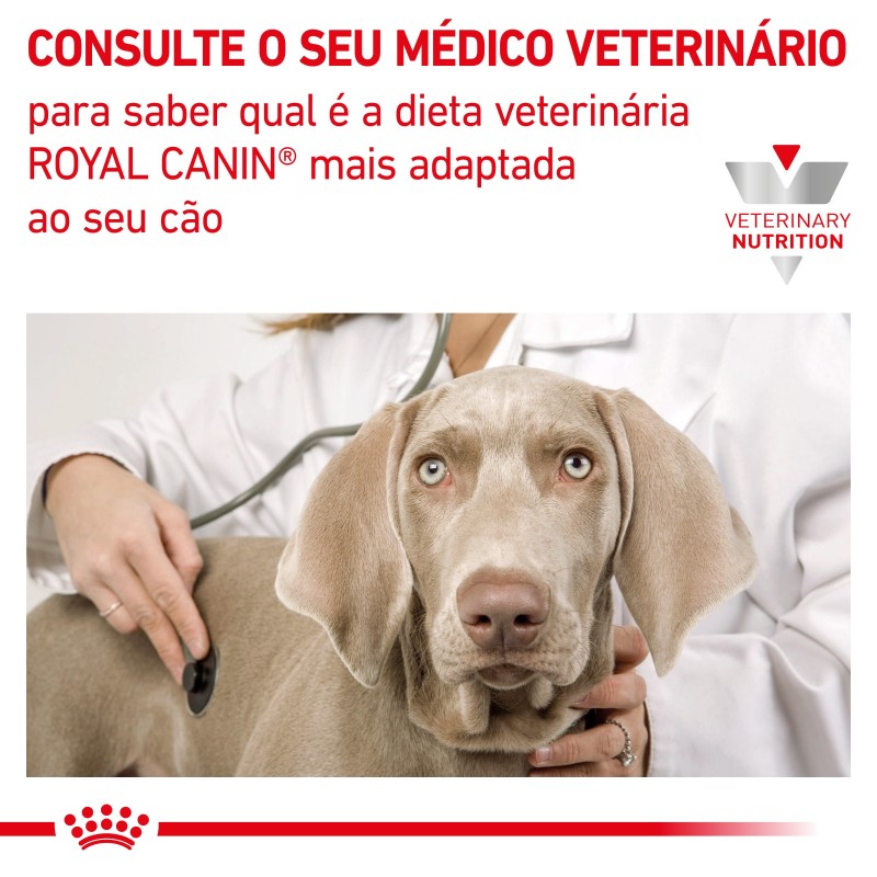 Ração para cão sénior - Royal Canin Mature Consult Large Dogs