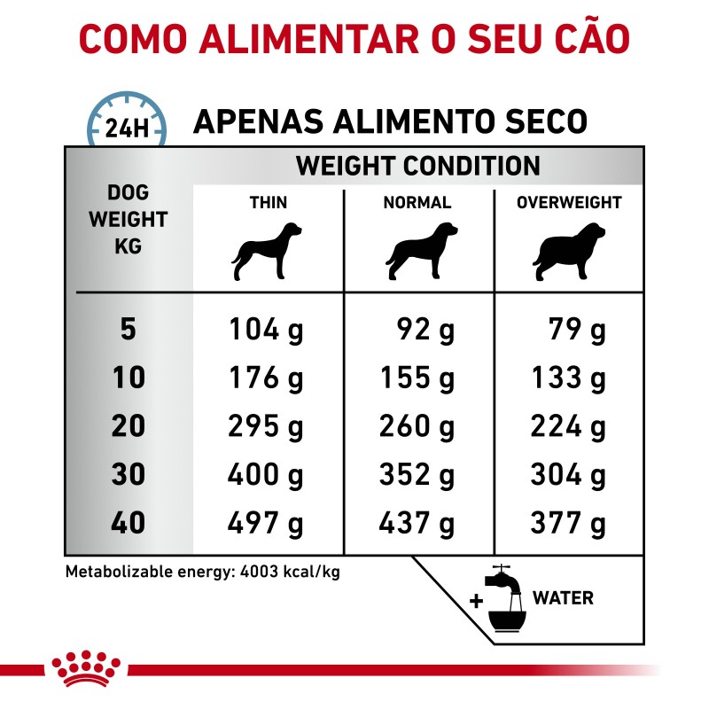 Ração para cão Royal Canin Anallergenic