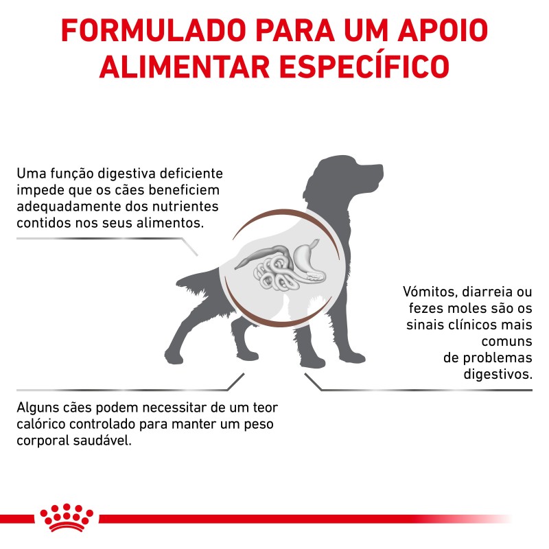Ração para cão Royal Canin Gastrointestinal Moderate Calorie