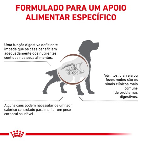 Ração para cão Royal Canin Gastrointestinal Moderate Calorie