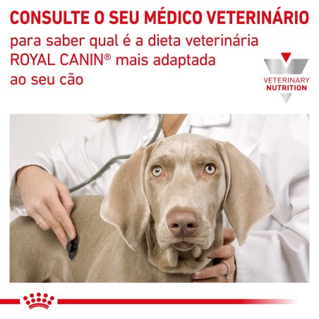 Ração para cão Royal Canin Gastrointestinal Moderate Calorie