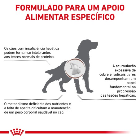 Ração para cão Royal Canin Hepatic