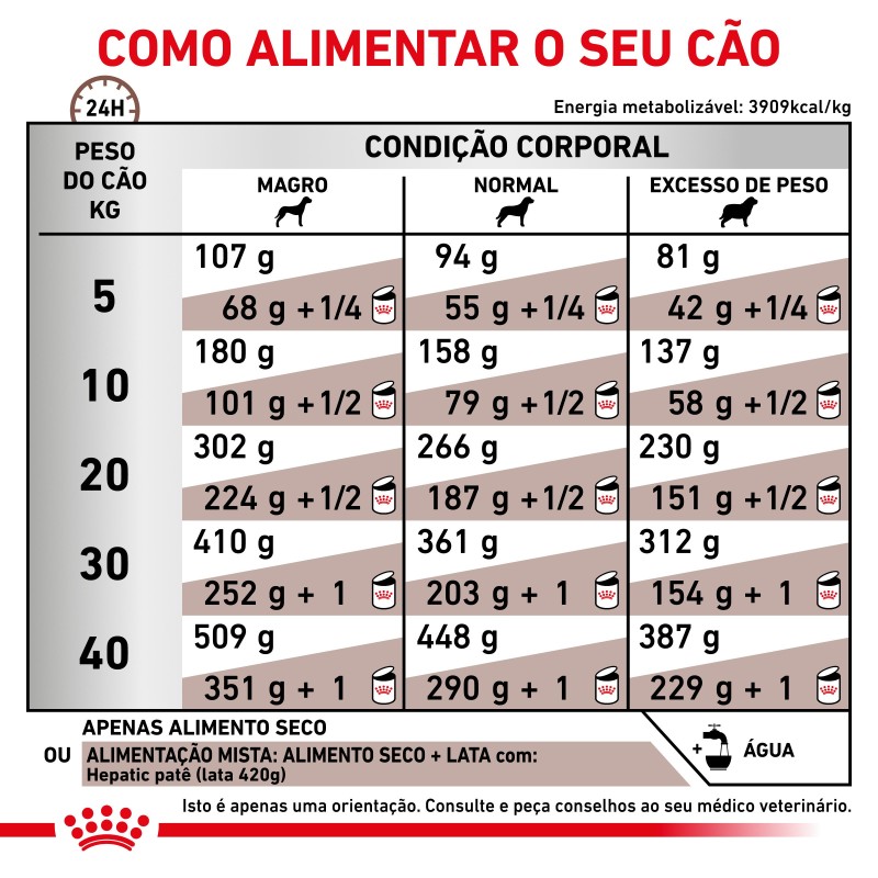 Ração para cão Royal Canin Hepatic