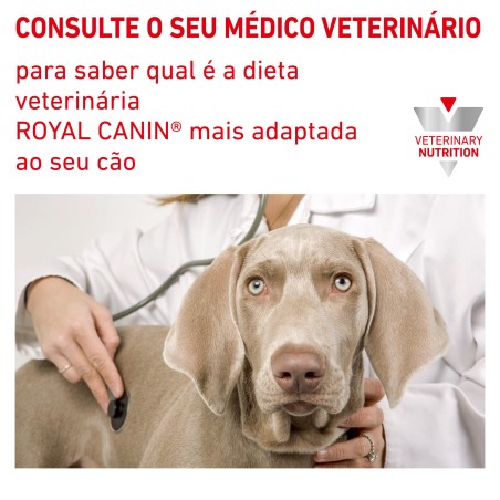 Ração para cão Royal Canin Urinary S/O Moderate Calorie