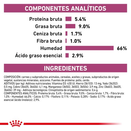 Ração para cão Royal Canin Renal Special
