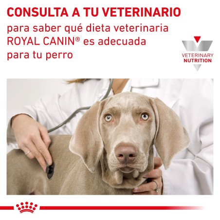 Ração para cão Royal Canin Renal Special