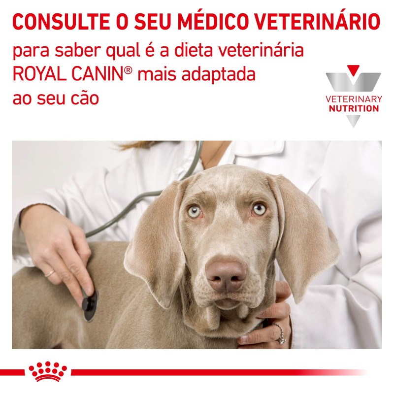 Ração para cão Royal Canin Satiety Weight Management