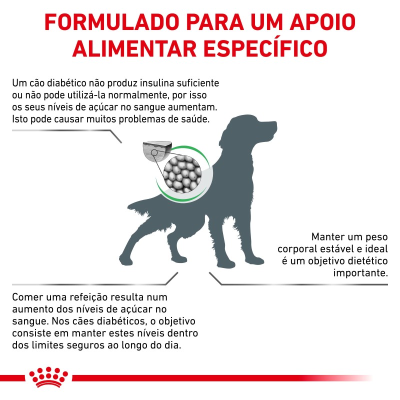 Ração para cão Royal Canin Diabetic