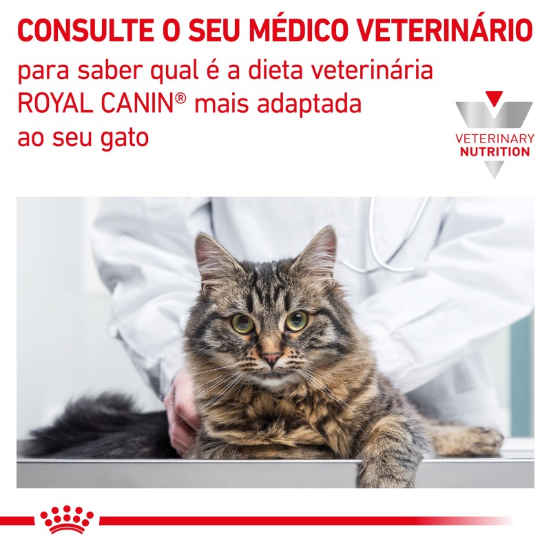 Ração para gato - Royal Canin Neutered Satiety Balance
