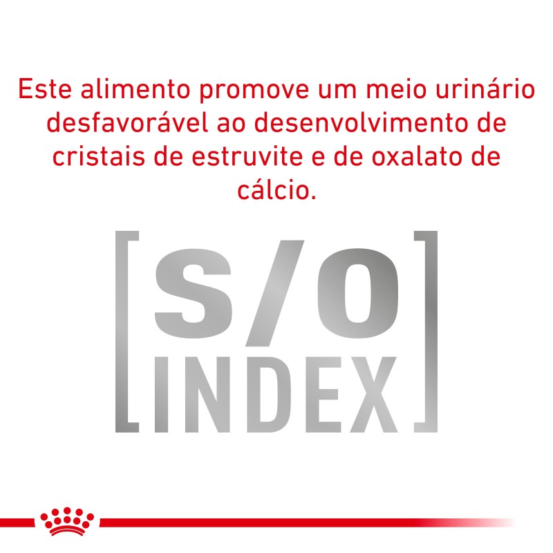 Ração para gato Royal Canin Anallergenic