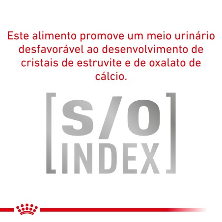 Ração para gato Royal Canin Anallergenic
