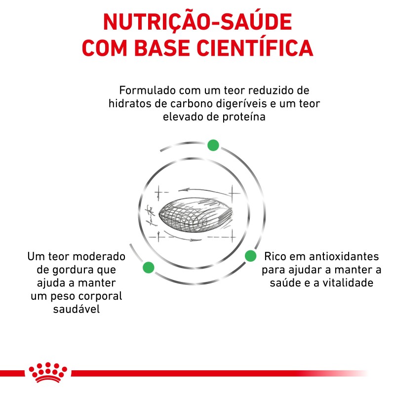 Ração para gato Royal Canin Diabetic