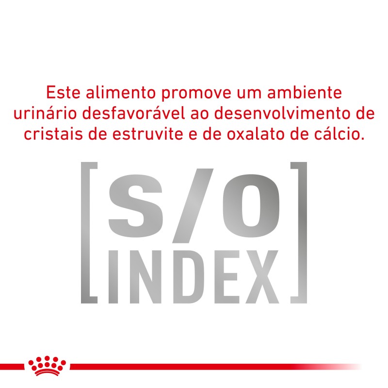 Ração para gato Royal Canin Diabetic