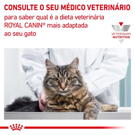 Ração para gato Royal Canin Diabetic