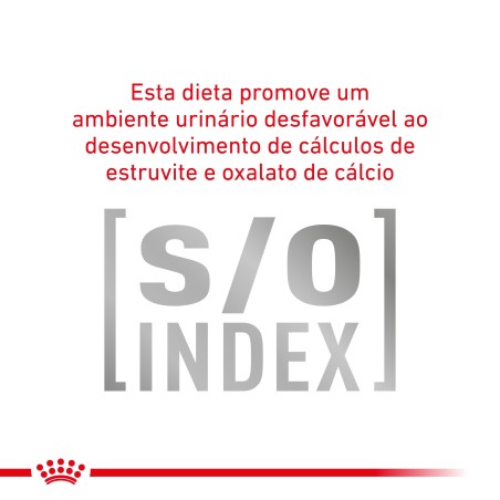 Ração para gato Royal Canin Fibre Response