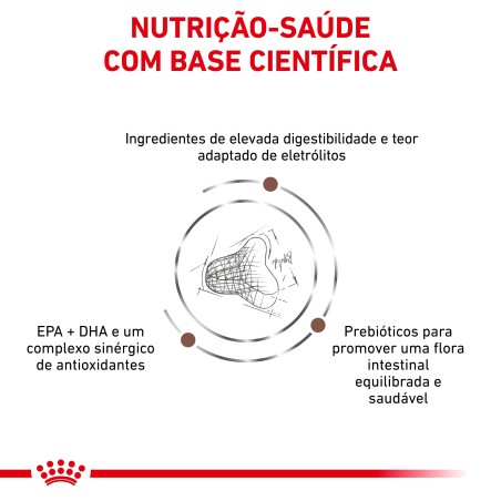 Ração para gato Royal Canin Fibre Response