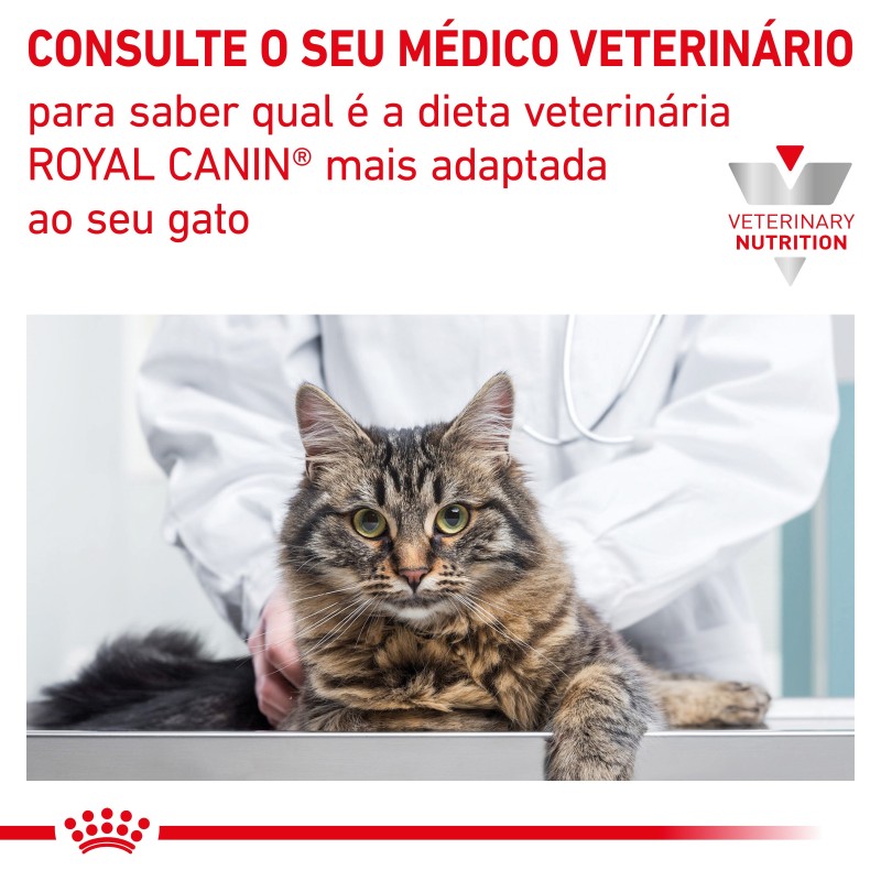 Ração para gato Royal Canin Fibre Response