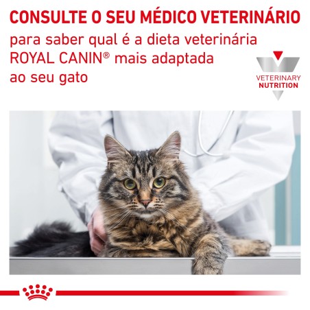 Ração para gato Royal Canin Fibre Response