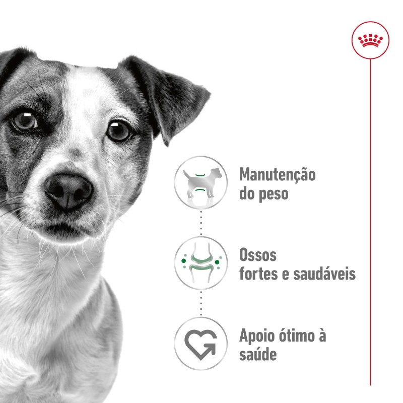 Ração para cão Royal Canin Mini Adulto