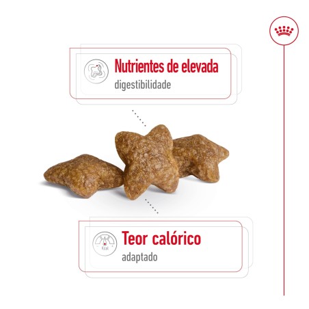 Ração para cão Royal Canin Mini Adulto