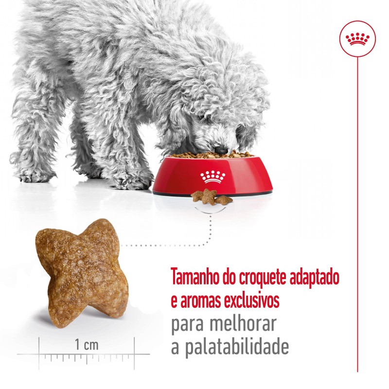 Ração para cão Royal Canin Mini Adulto
