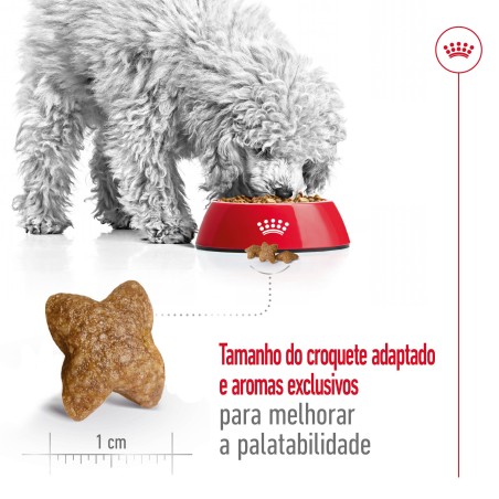 Ração para cão Royal Canin Mini Adulto