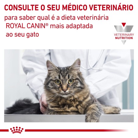 Ração para gato Royal Canin Hypoallergenic
