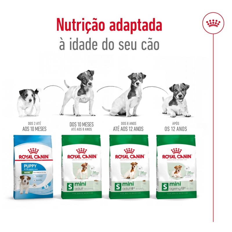 Ração para cão Royal Canin Mini Adulto