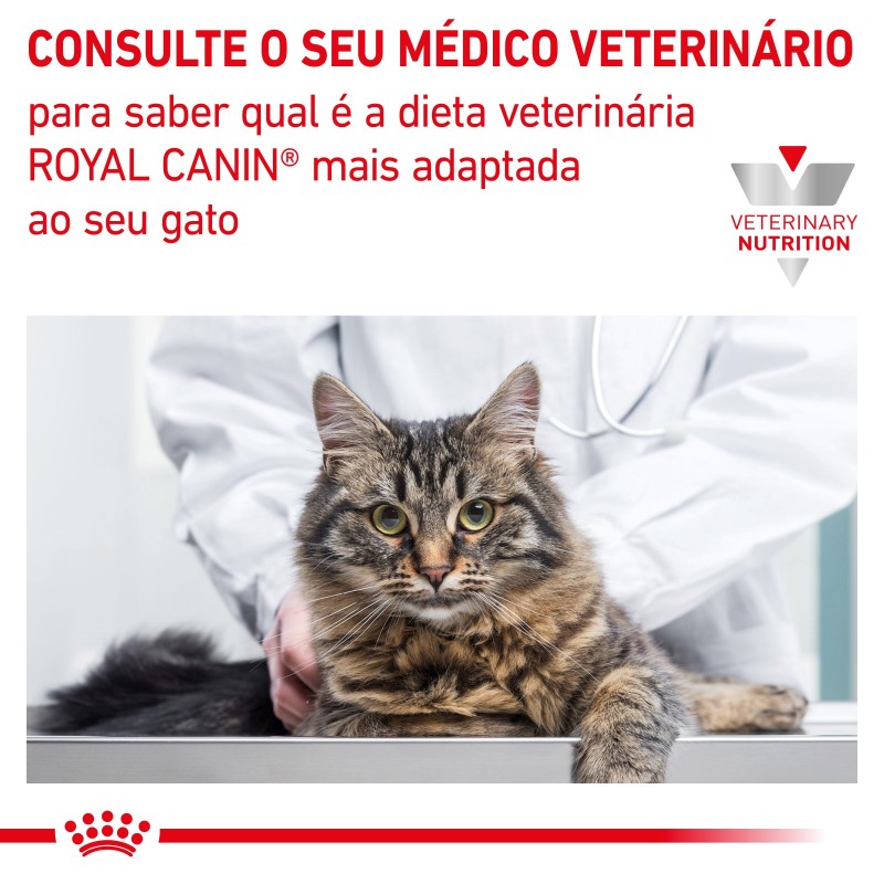 Ração para gato Royal Canin Renal Special