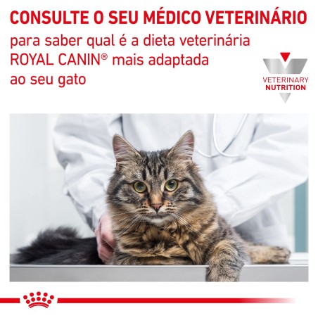 Ração para gato Royal Canin Renal Special
