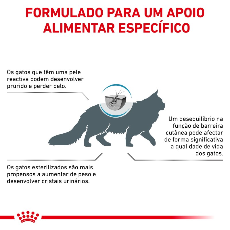 Ração para gato Royal Canin Skin & Coat