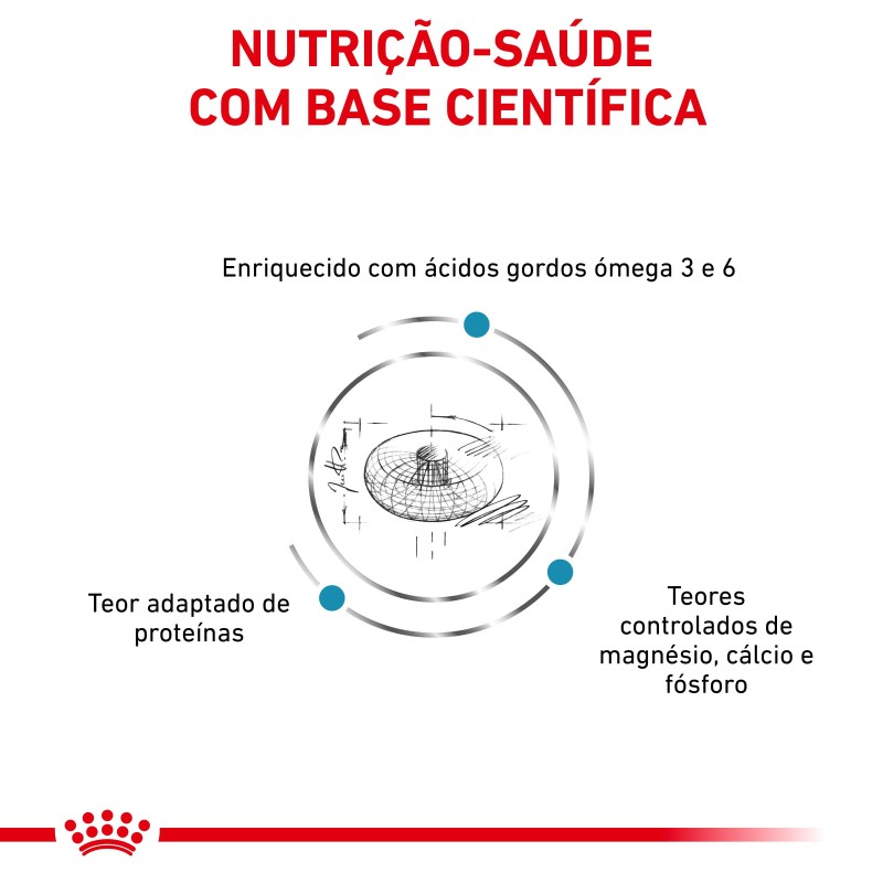 Ração para gato Royal Canin Skin & Coat