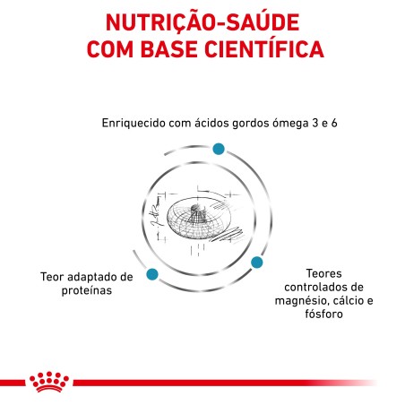 Ração para gato Royal Canin Skin & Coat