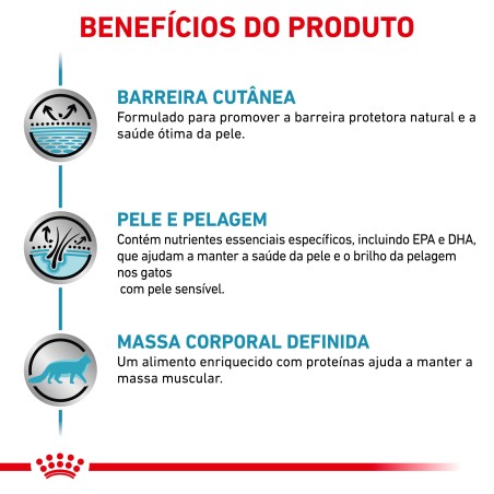 Ração para gato Royal Canin Skin & Coat
